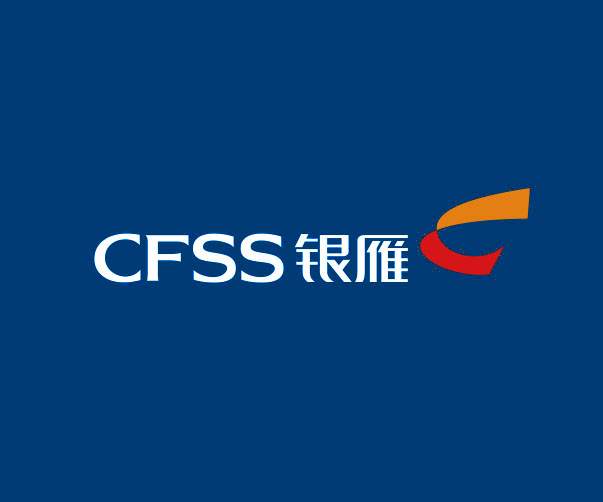 CFSS銀雁集團